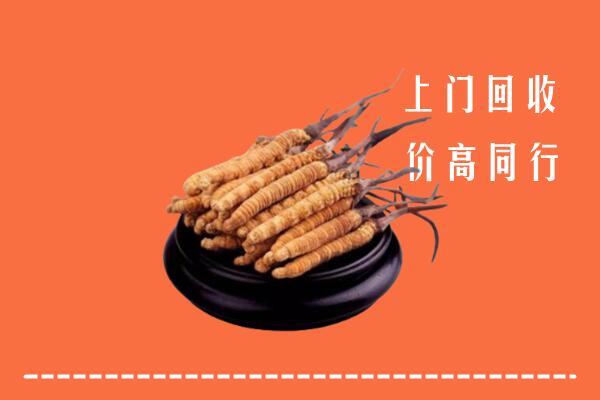 高价求购：南阳市邓州市回收散虫草