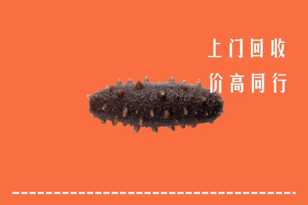 高价求购：南阳市邓州市回收海参