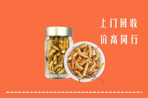 南阳市邓州市回收冬虫夏草